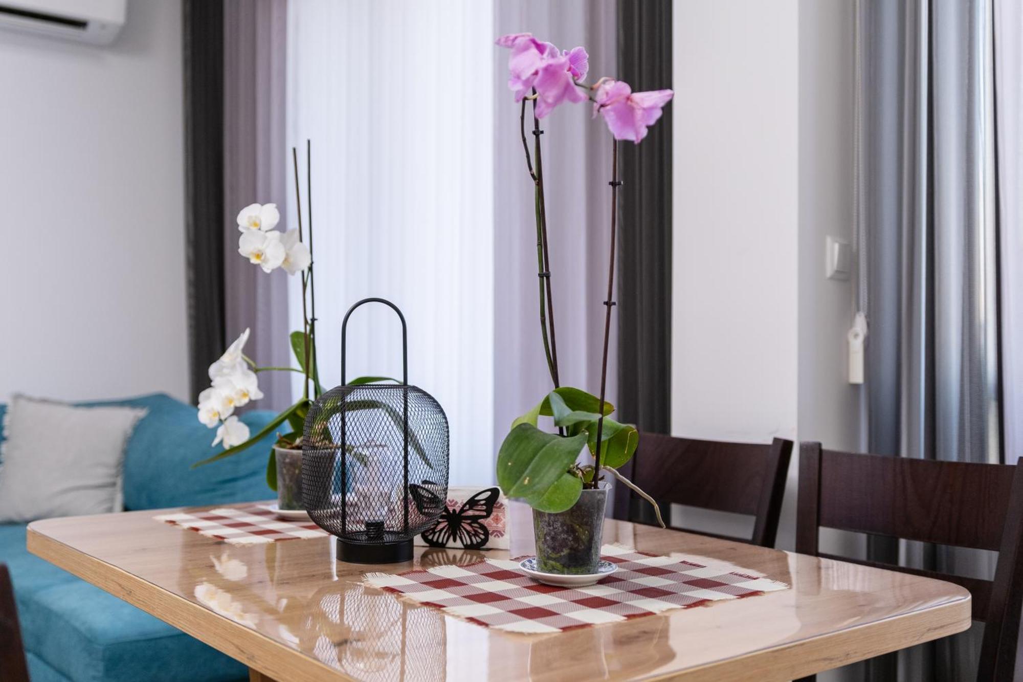 1-Bedroom Apartment With Free Private Parking بلوفديف المظهر الخارجي الصورة